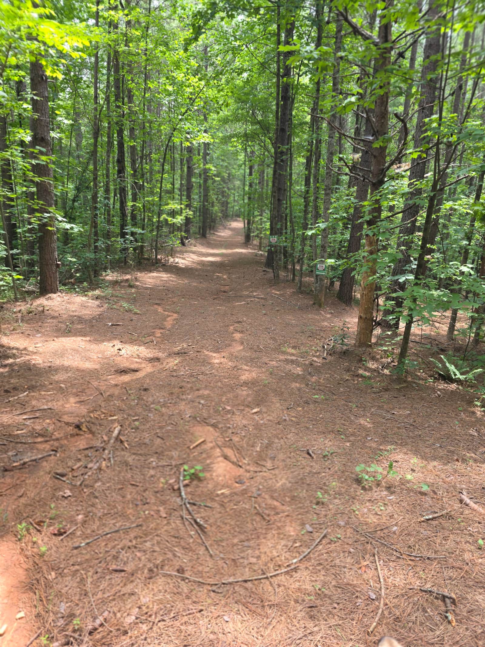 Wooded hiking trail on the Sanctuary 120 property
